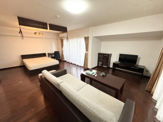 Living room/Bed room